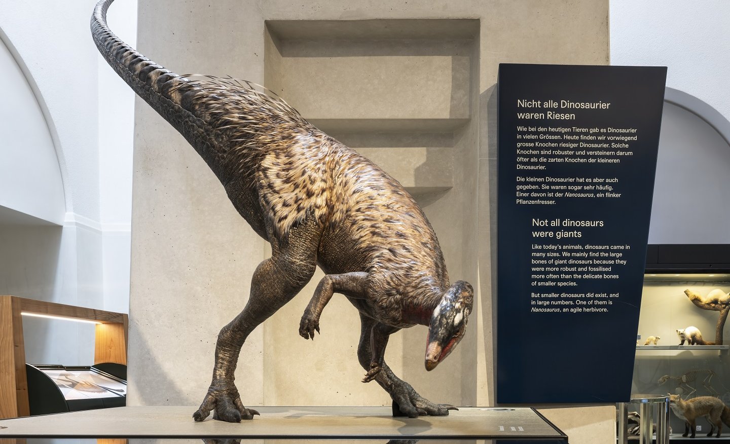 Asymmetrisch geformte Beschriftungstafel aus Alublech mit Text zur Dinosaurierausstellung im Naturhistorischen Museum