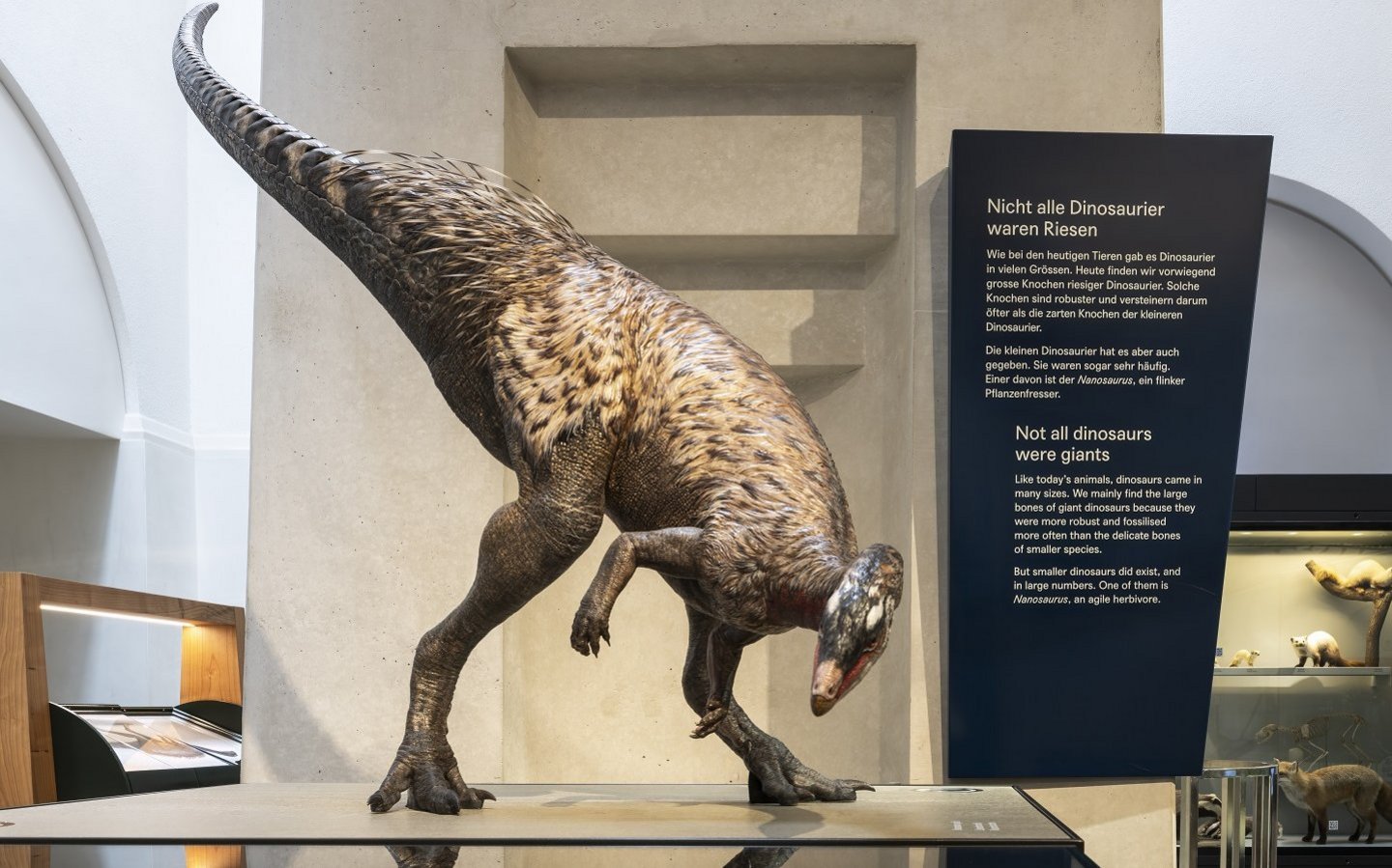 Asymmetrisch geformte Beschriftungstafel aus Alublech mit Text zur Dinosaurierausstellung im Naturhistorischen Museum