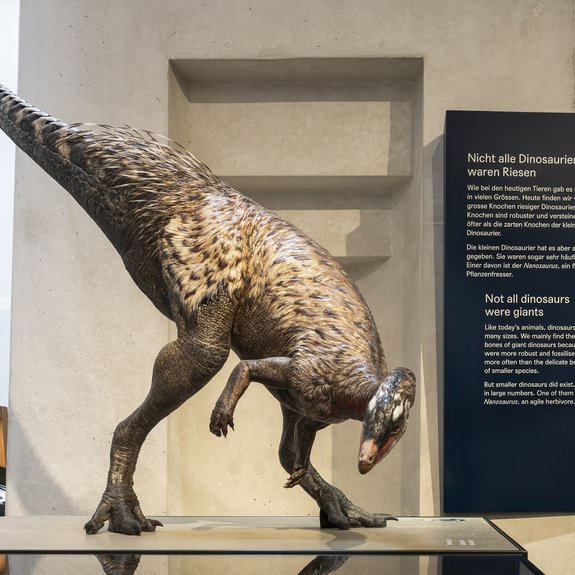 Asymmetrisch geformte Beschriftungstafel aus Alublech mit Text zur Dinosaurierausstellung im Naturhistorischen Museum