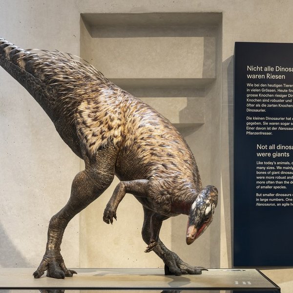 Asymmetrisch geformte Beschriftungstafel aus Alublech mit Text zur Dinosaurierausstellung im Naturhistorischen Museum