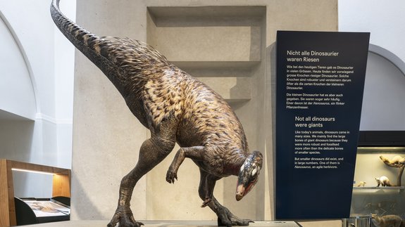 Asymmetrisch geformte Beschriftungstafel aus Alublech mit Text zur Dinosaurierausstellung im Naturhistorischen Museum