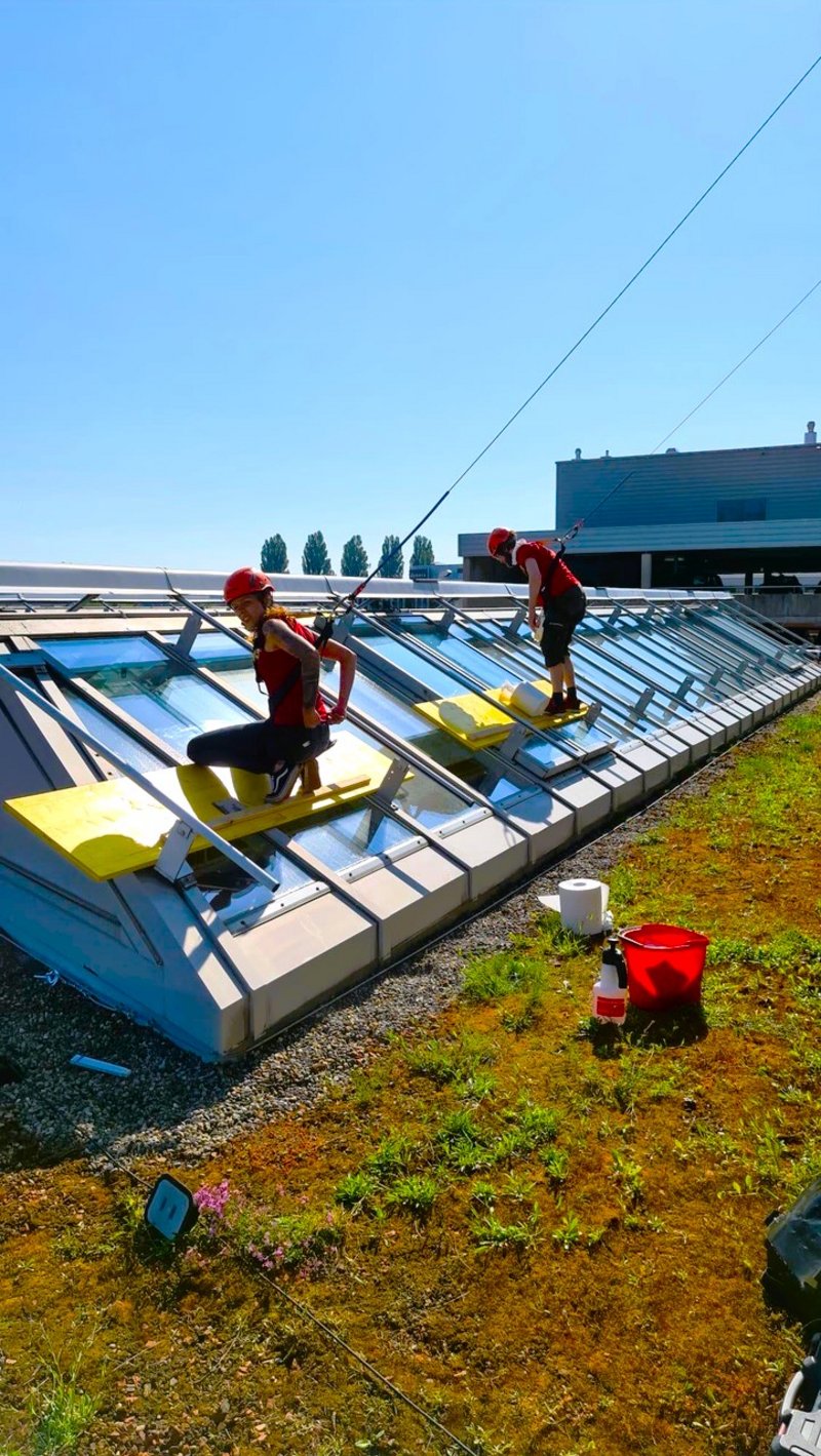 Richnerstutz Werbetechnik Montage-Team, Folierung Dachfenster Sonnenschutz